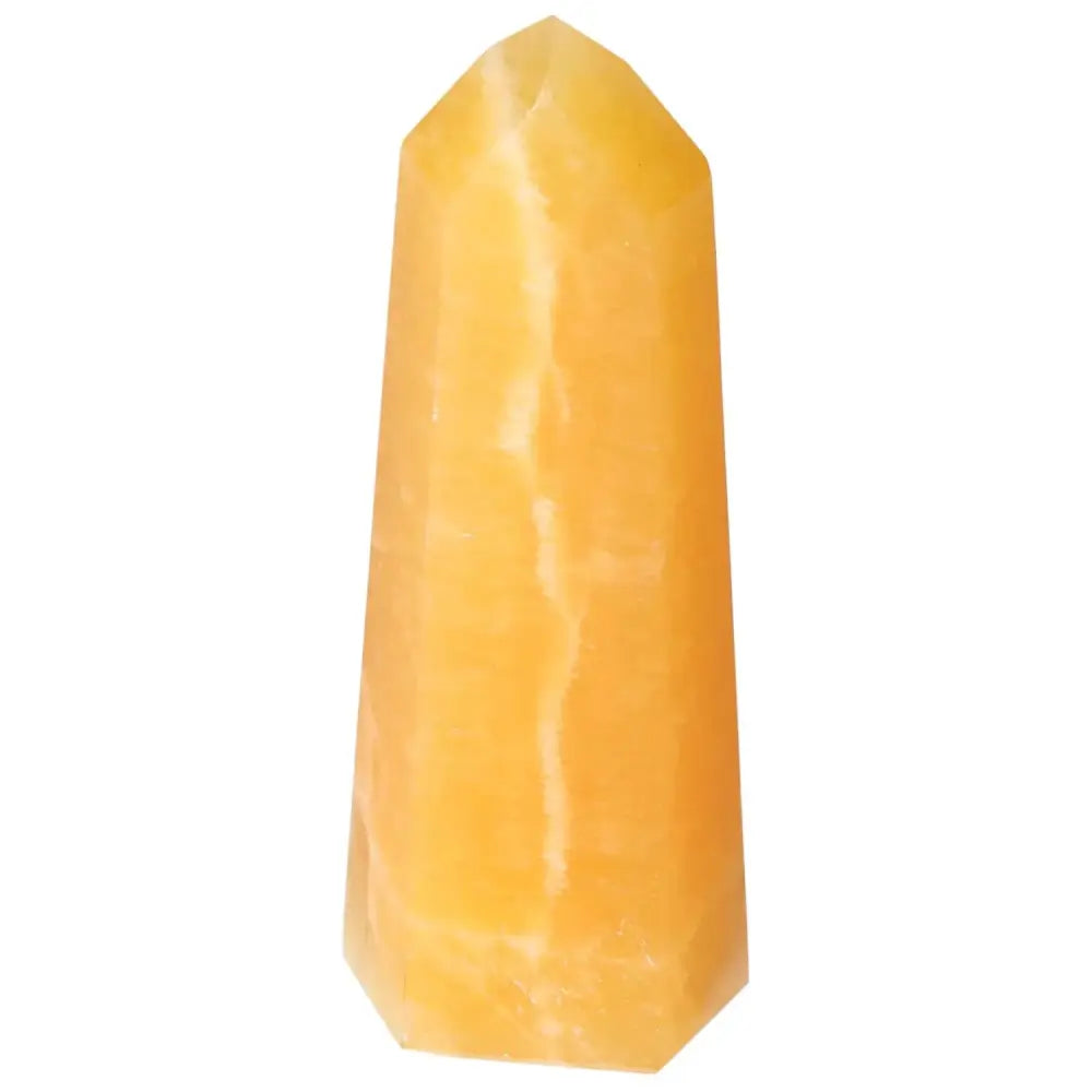 orbitvu|type:image2d