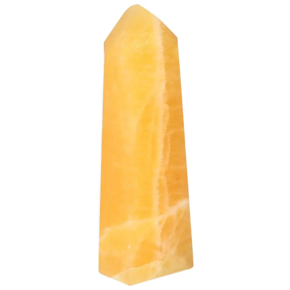 orbitvu|type:image2d