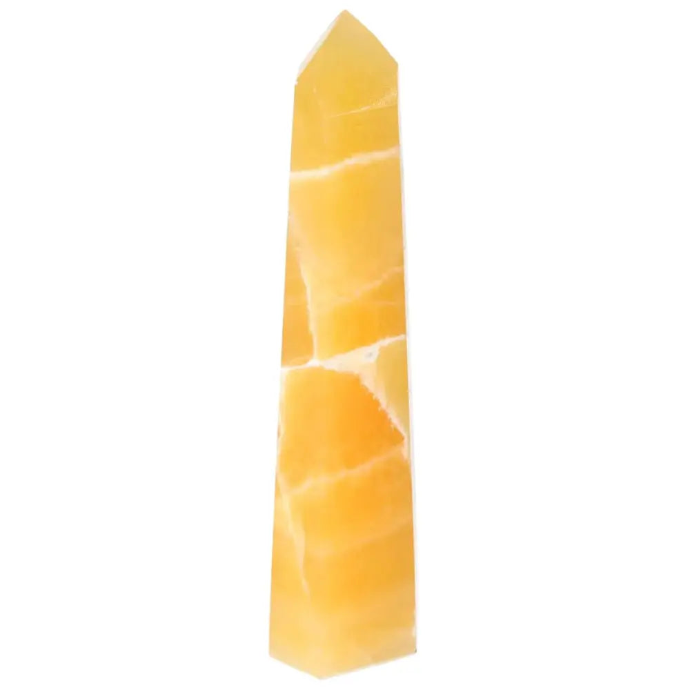 orbitvu|type:image2d