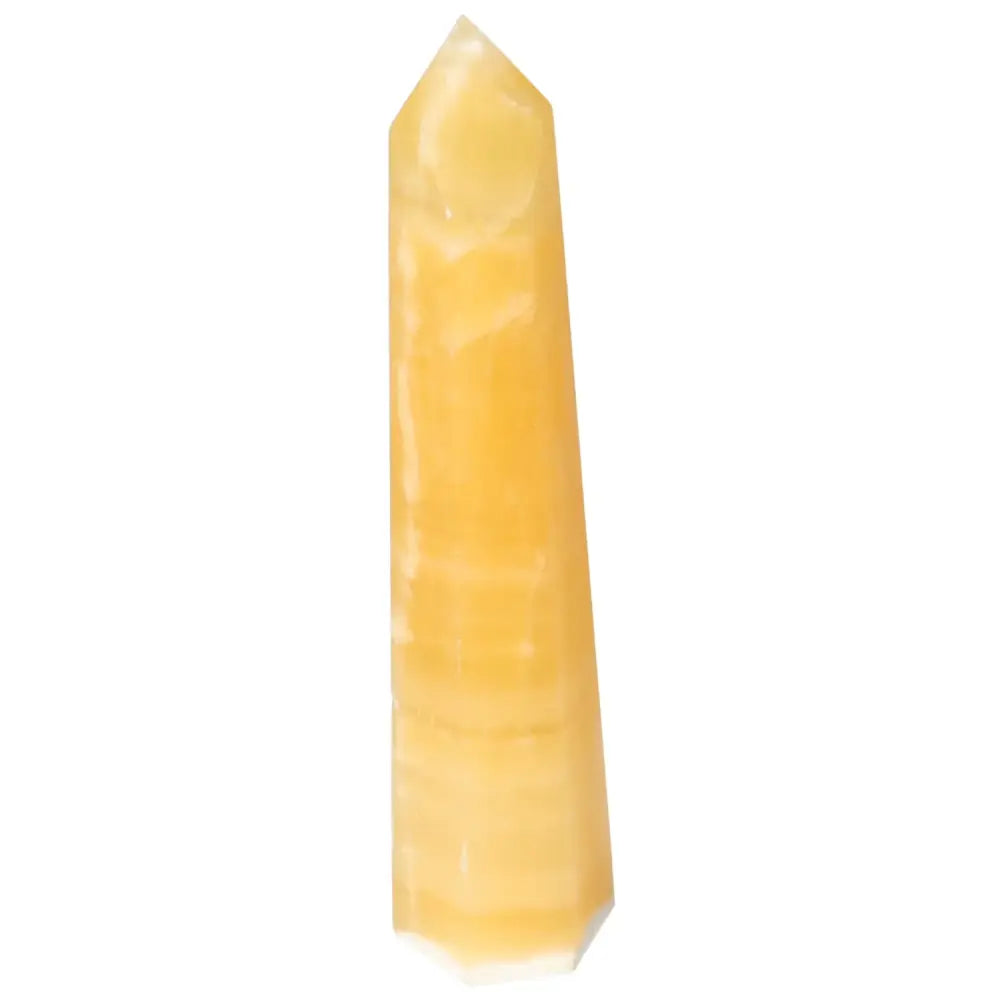 orbitvu|type:image2d