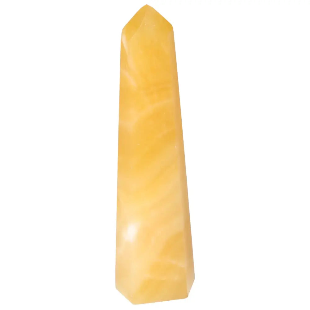 orbitvu|type:image2d