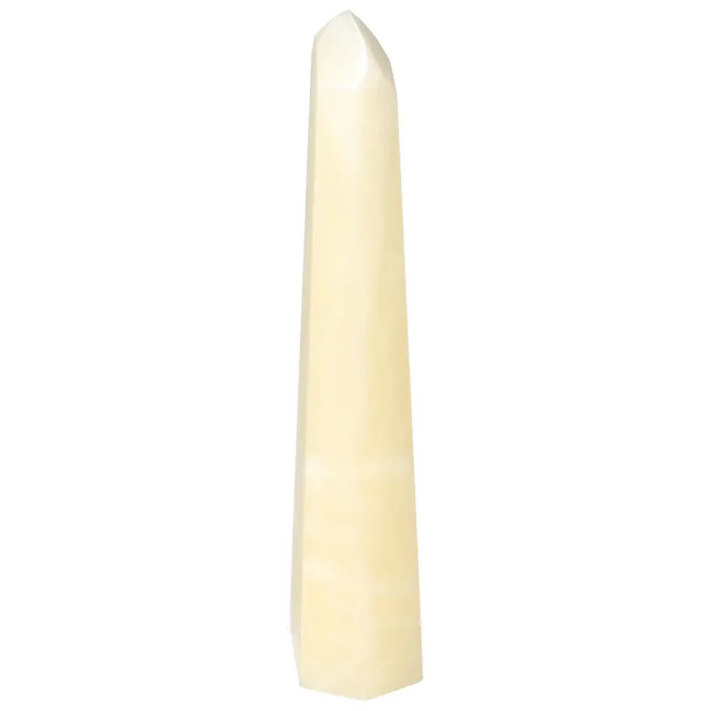 orbitvu|type:image2d