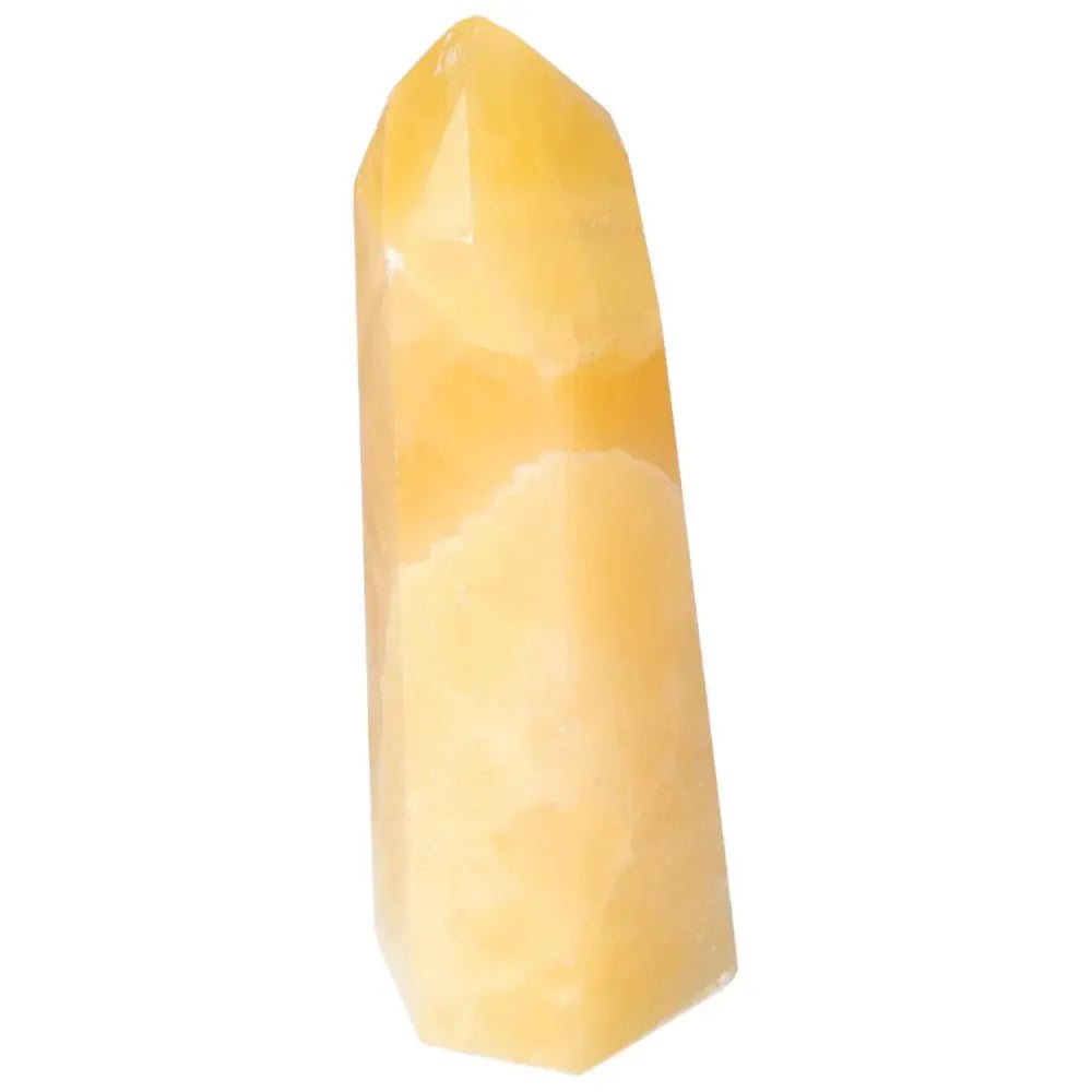 orbitvu|type:image2d