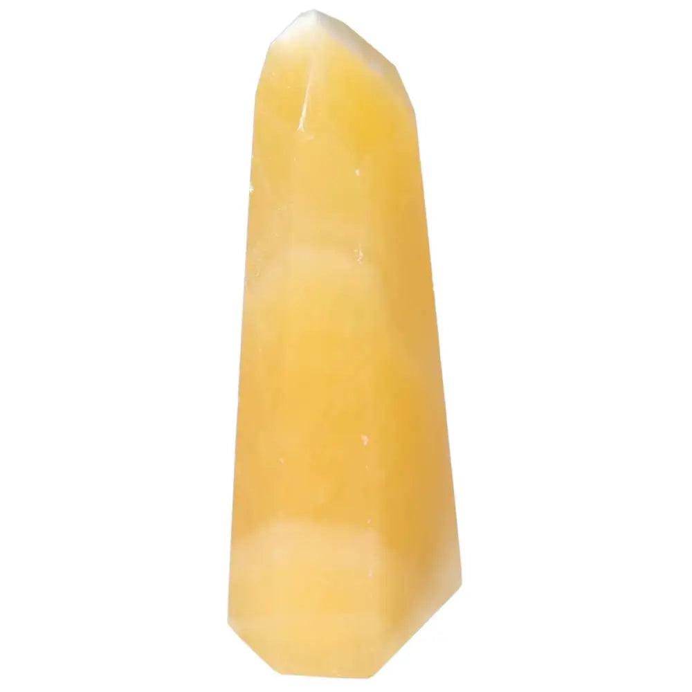 orbitvu|type:image2d