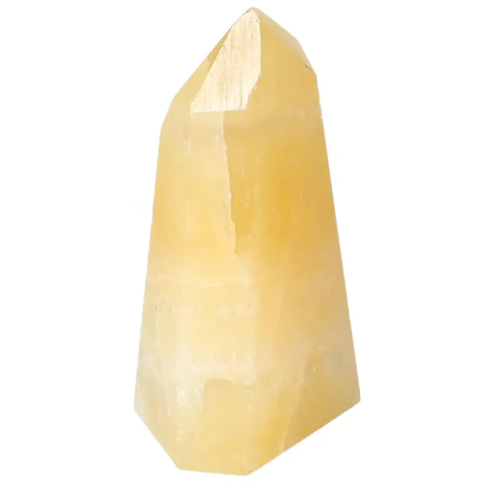 orbitvu|type:image2d