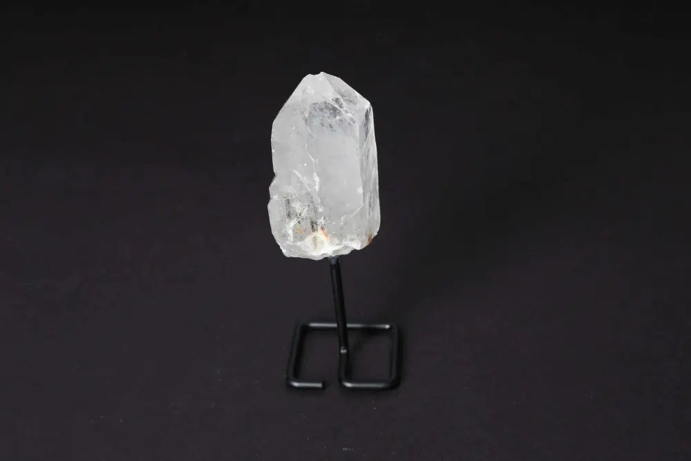 orbitvu|type:image2d