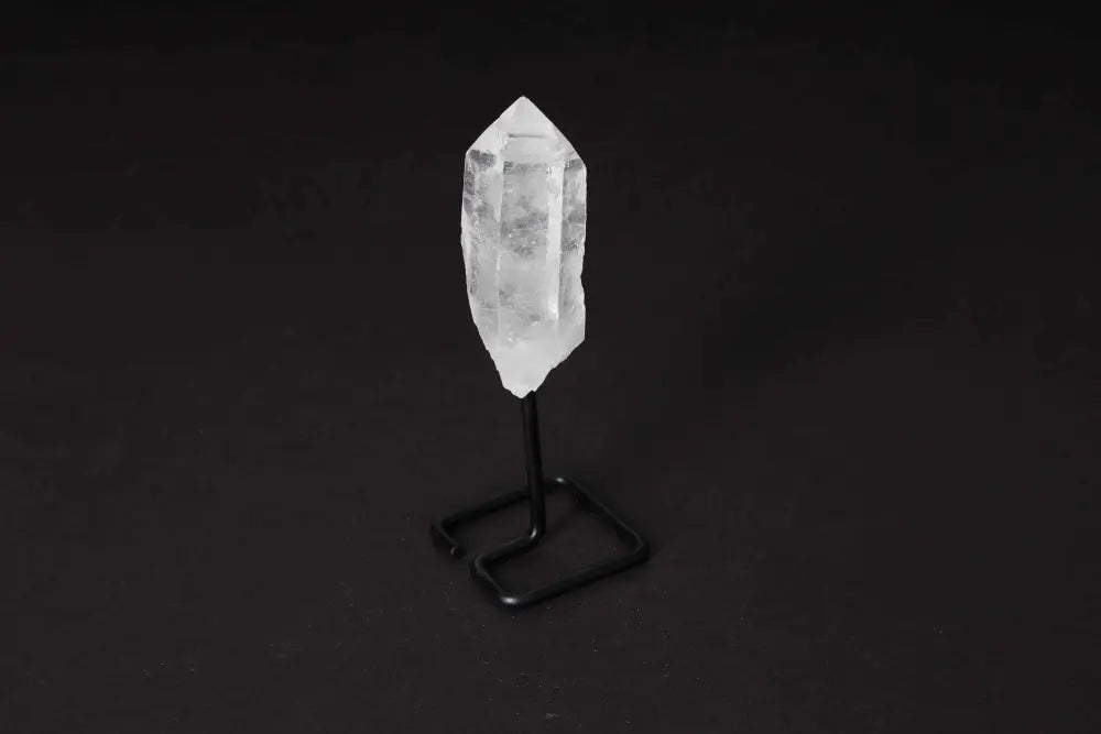 orbitvu|type:image2d