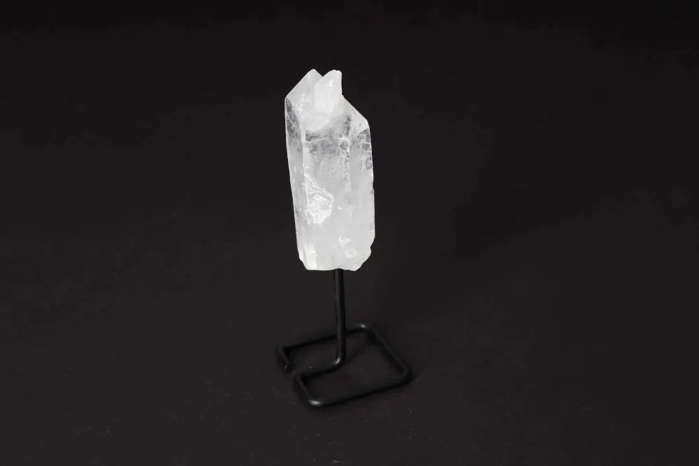 orbitvu|type:image2d