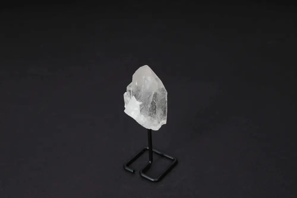 orbitvu|type:image2d