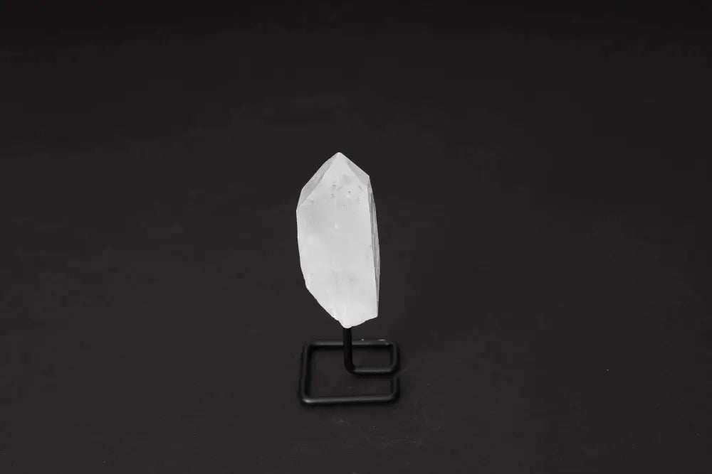 orbitvu|type:image2d