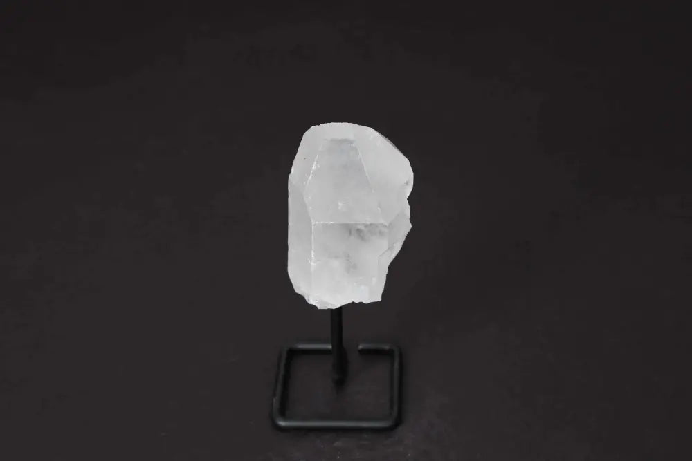 orbitvu|type:image2d