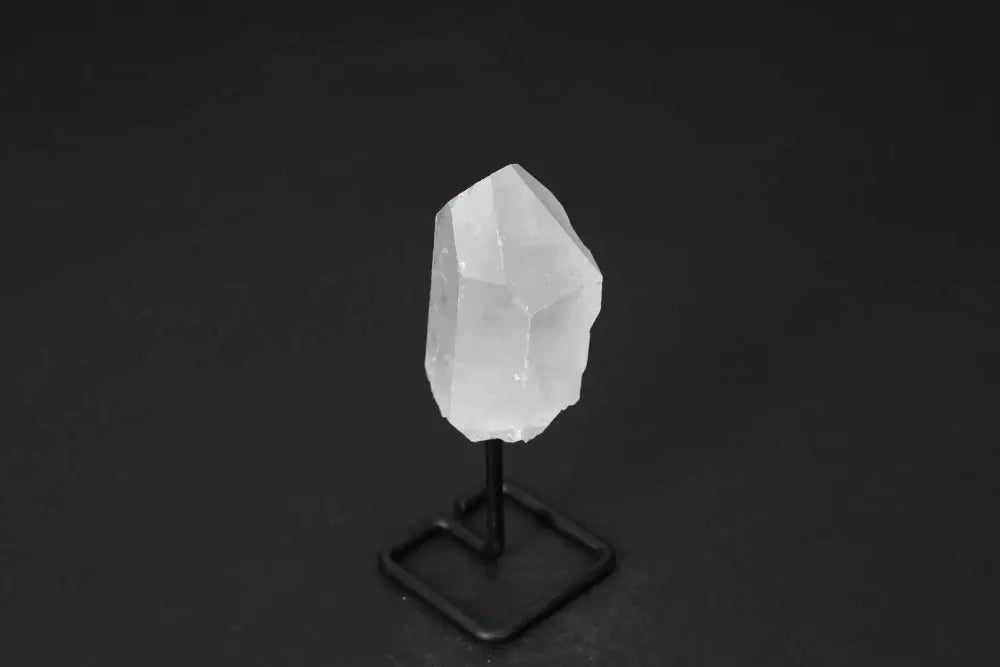 orbitvu|type:image2d