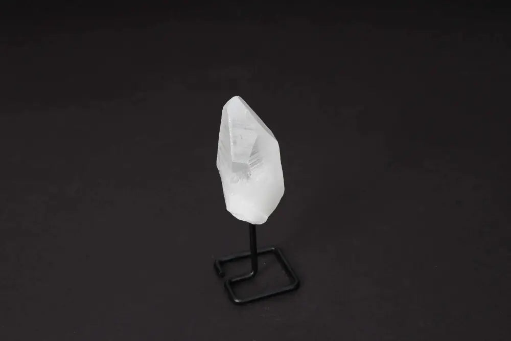 orbitvu|type:image2d