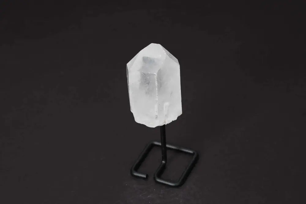 orbitvu|type:image2d