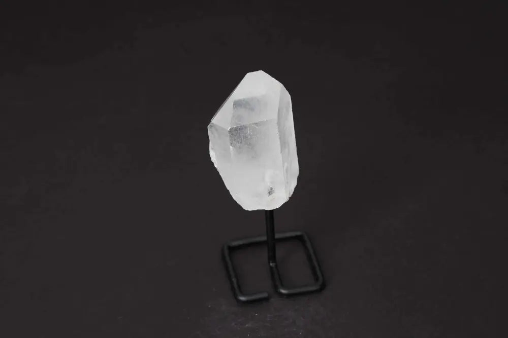 orbitvu|type:image2d