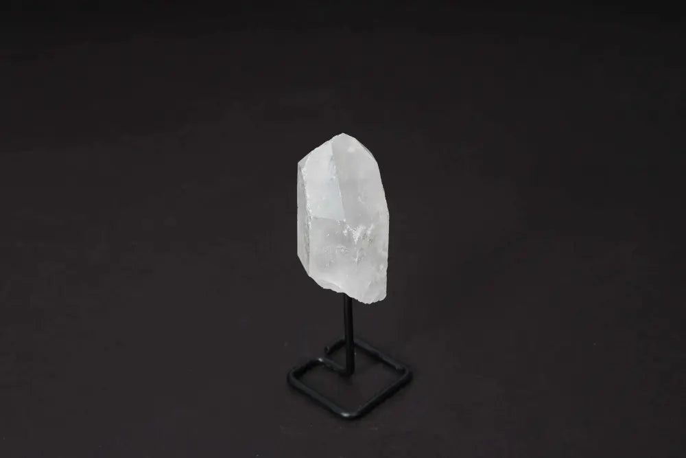 orbitvu|type:image2d