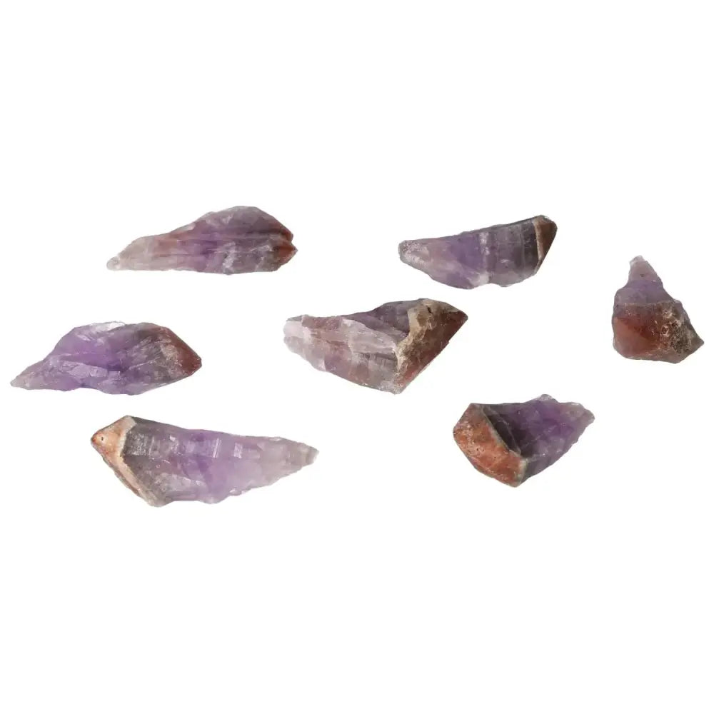 orbitvu|type:image2d