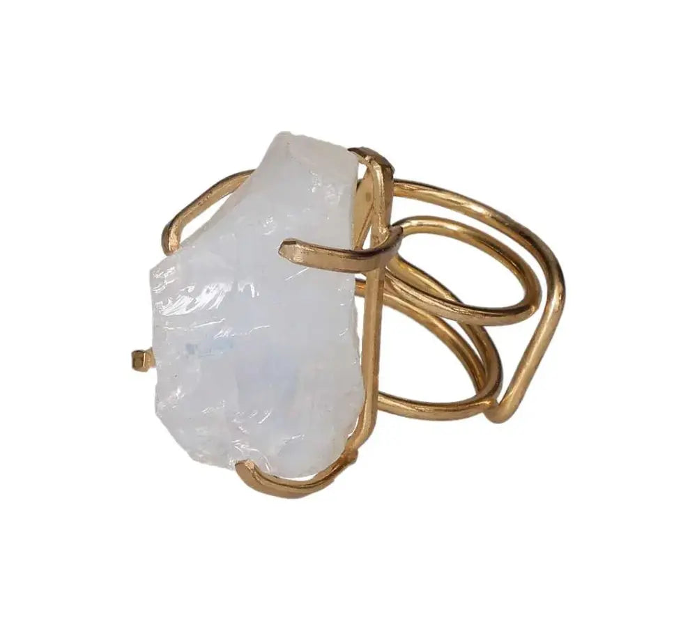 orbitvu|type:image2d