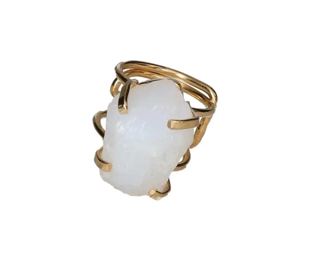 orbitvu|type:image2d