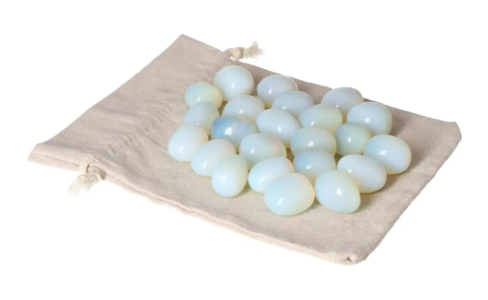 orbitvu|type:image2d