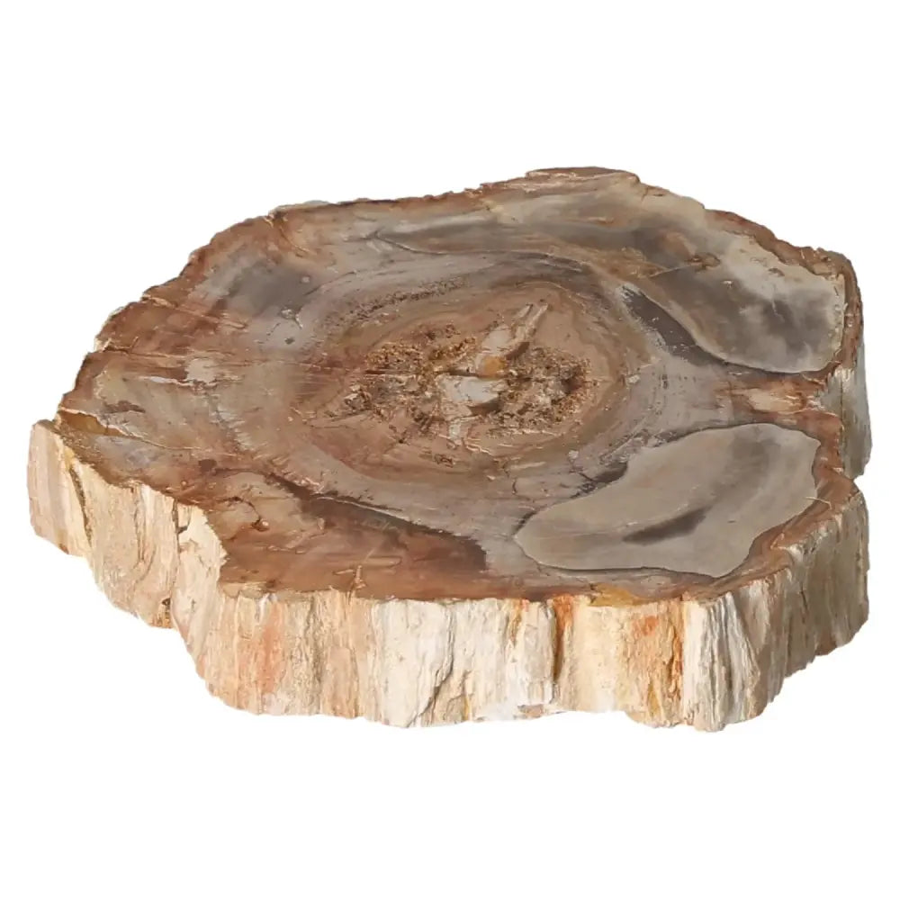 orbitvu|type:image2d