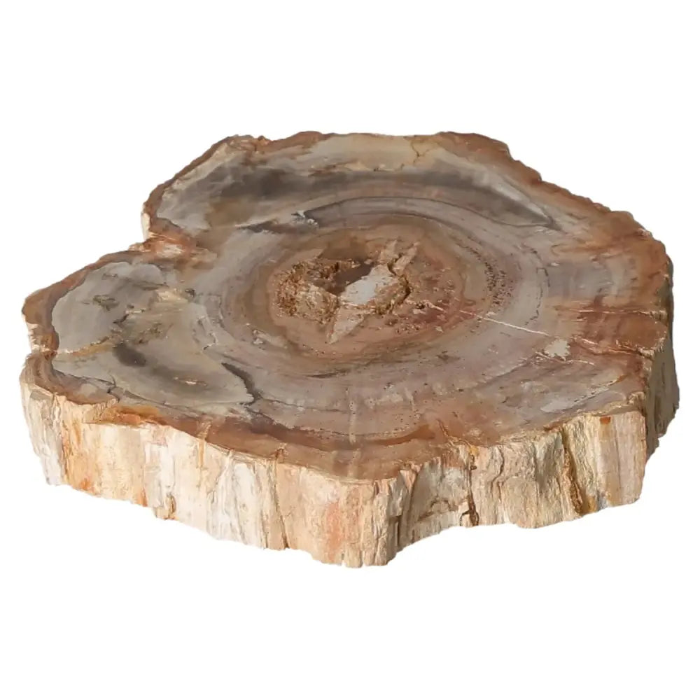 orbitvu|type:image2d