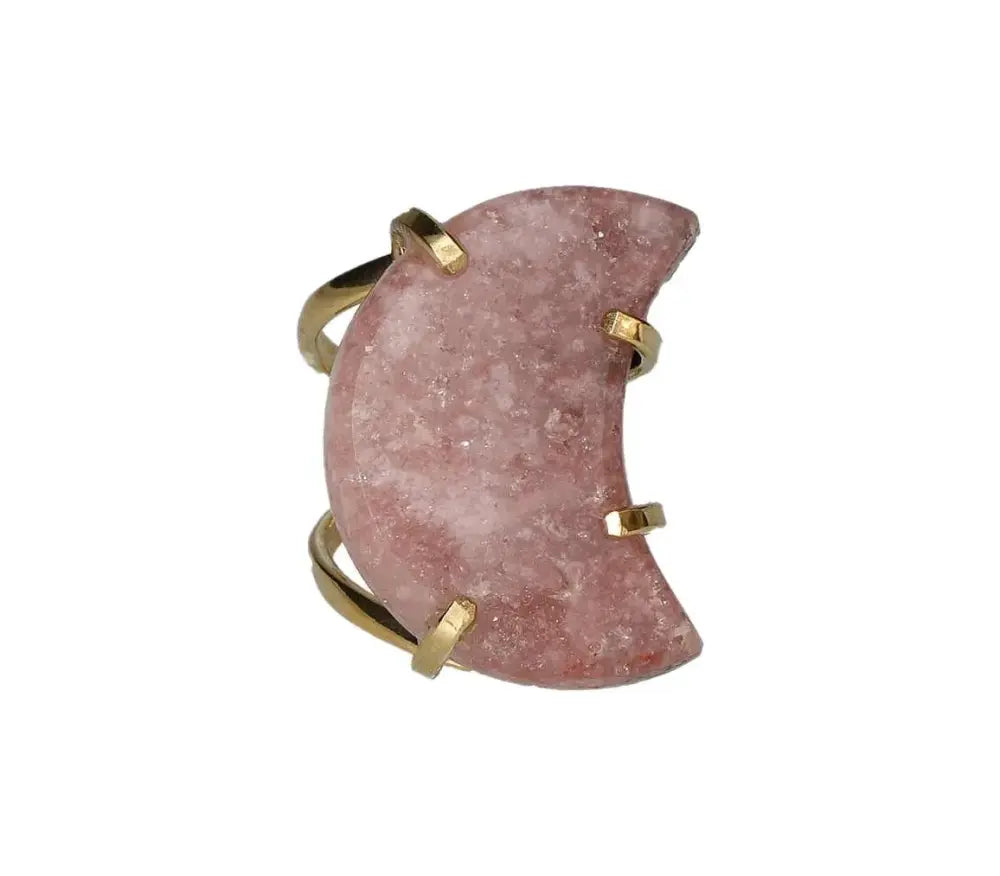 orbitvu|type:image2d