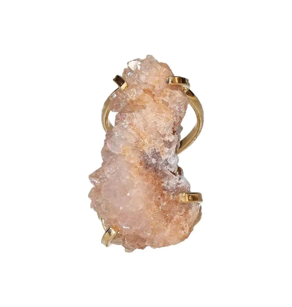 orbitvu|type:image2d