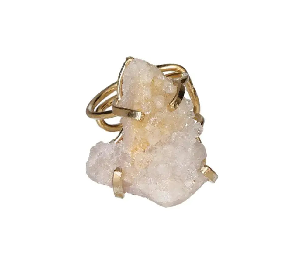 orbitvu|type:image2d