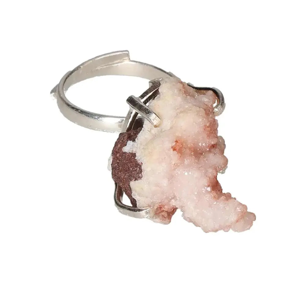 orbitvu|type:image2d