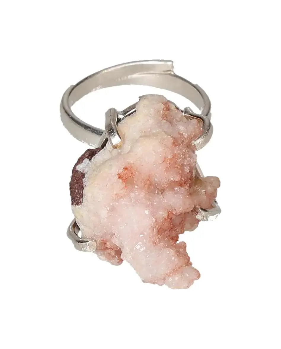 orbitvu|type:image2d