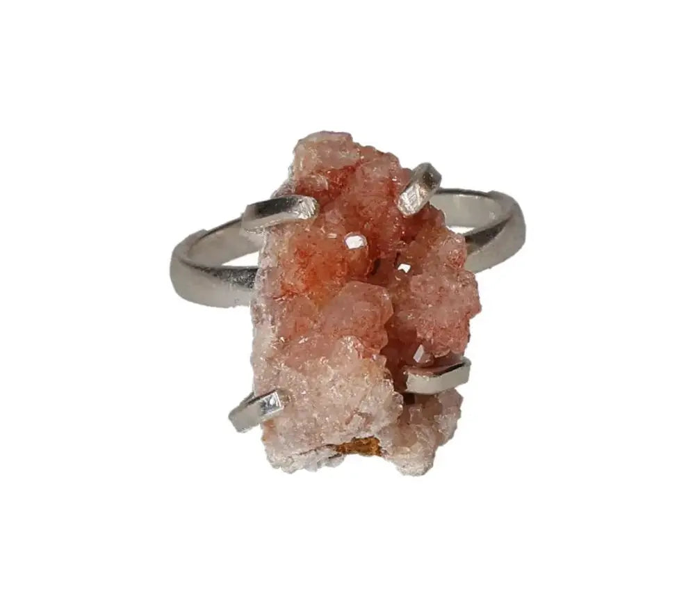 orbitvu|type:image2d