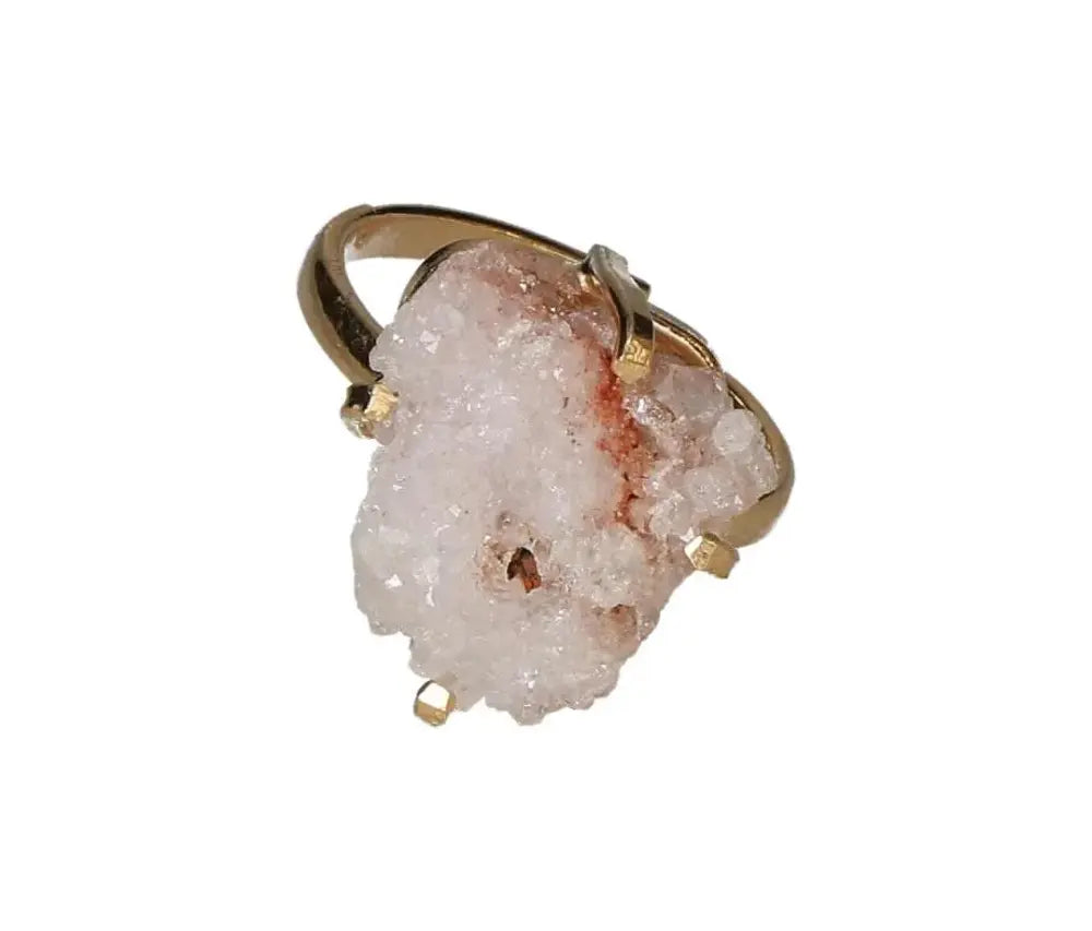 orbitvu|type:image2d