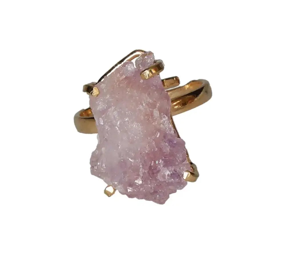 orbitvu|type:image2d