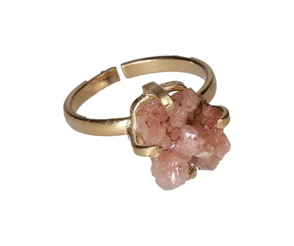 orbitvu|type:image2d