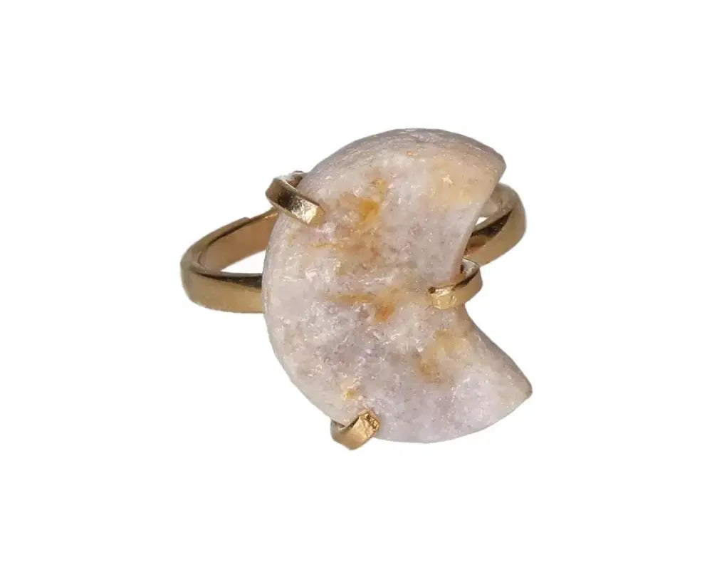 orbitvu|type:image2d