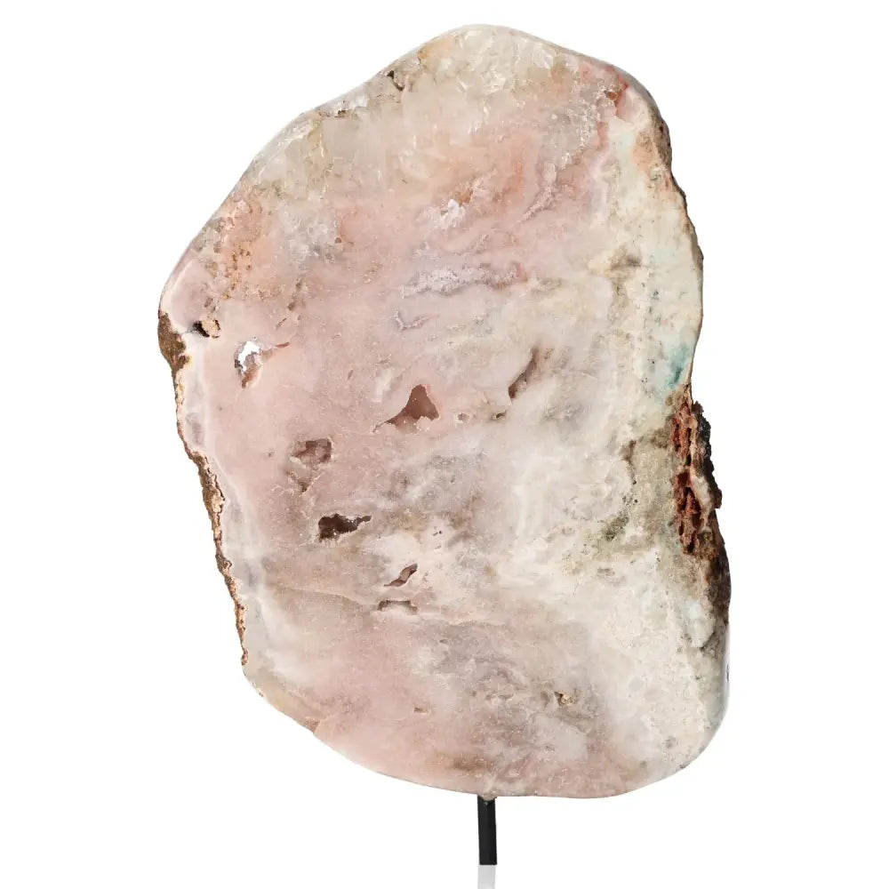 orbitvu|type:image2d