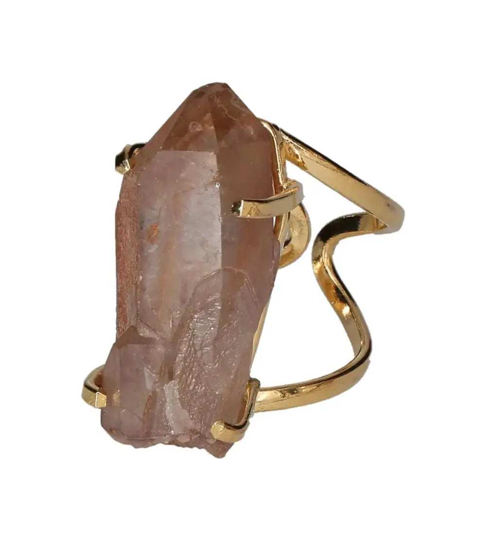 orbitvu|type:image2d