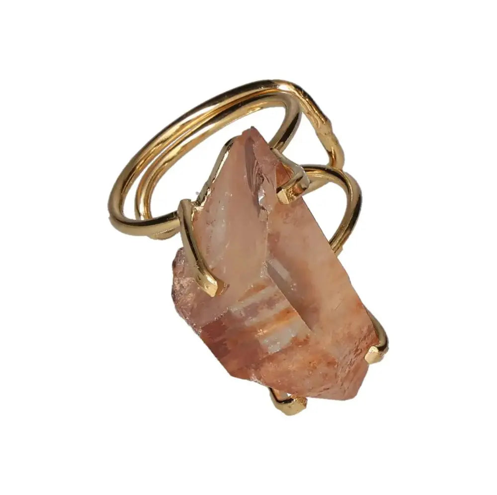 orbitvu|type:image2d