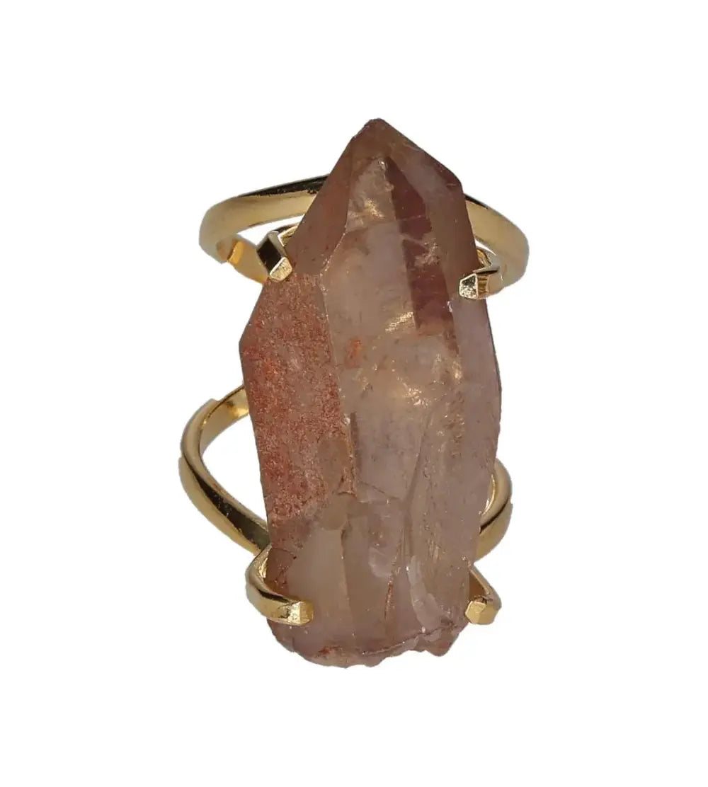 orbitvu|type:image2d