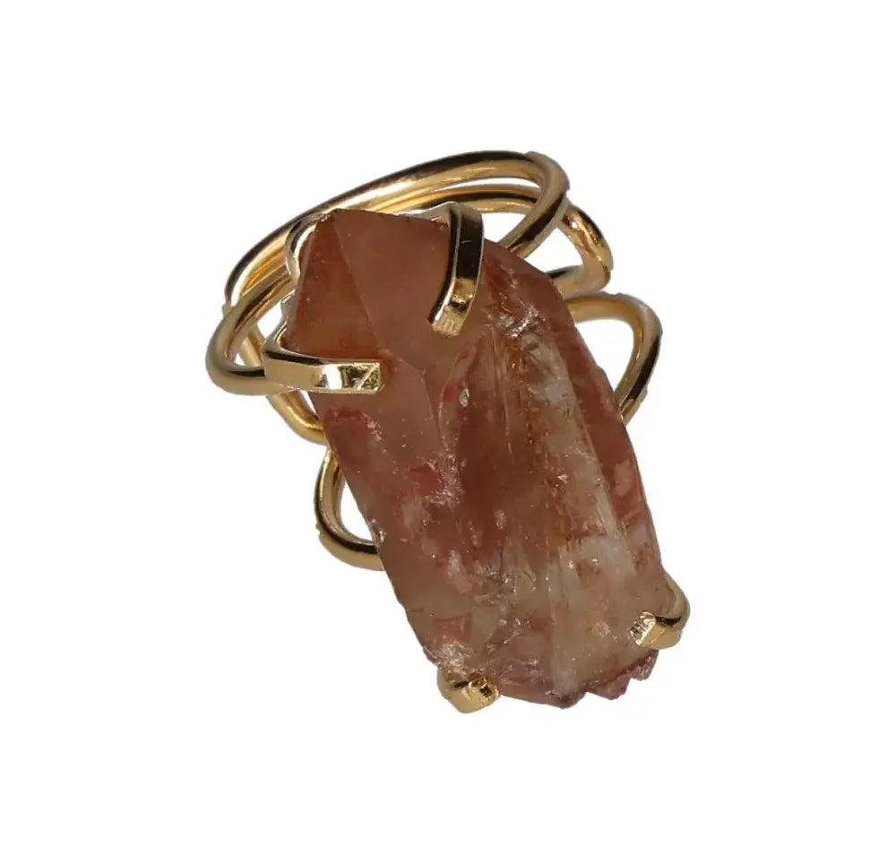 orbitvu|type:image2d