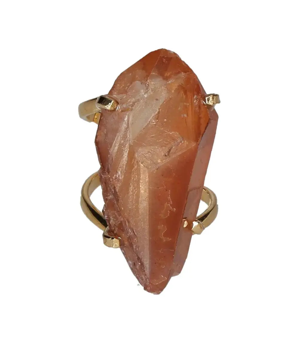 orbitvu|type:image2d