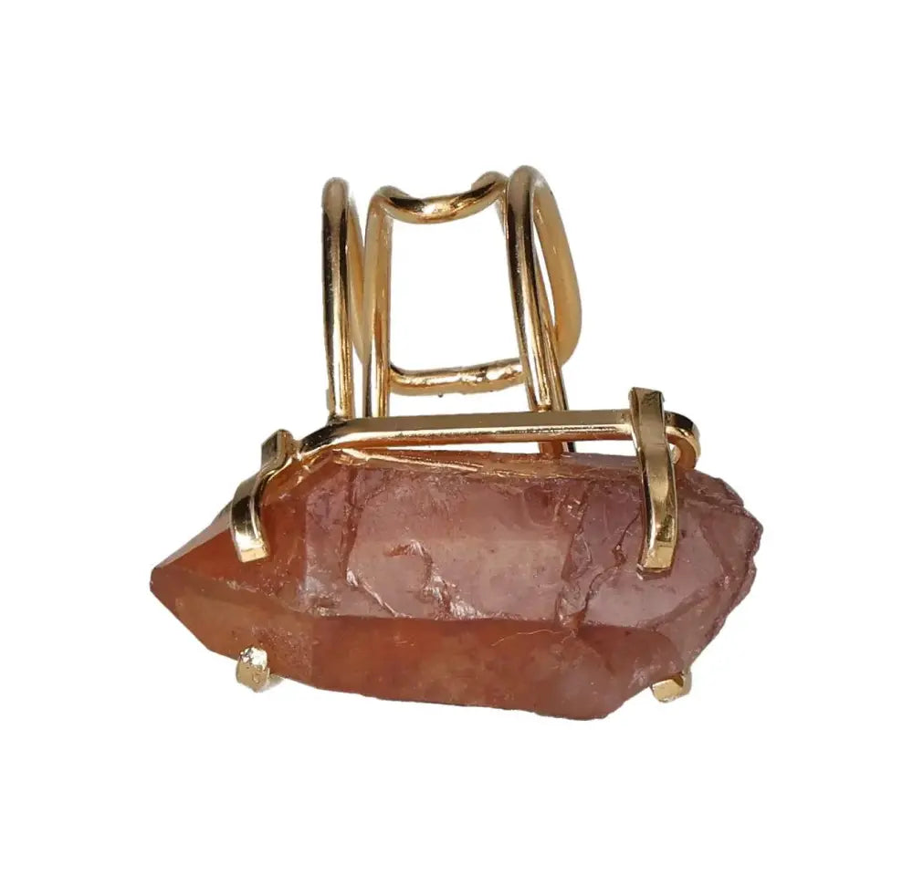 orbitvu|type:image2d