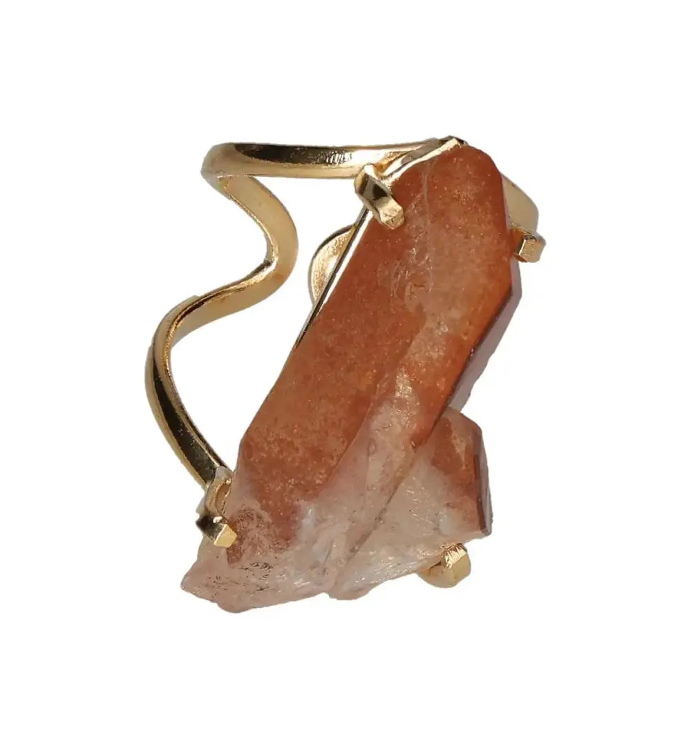 orbitvu|type:image2d