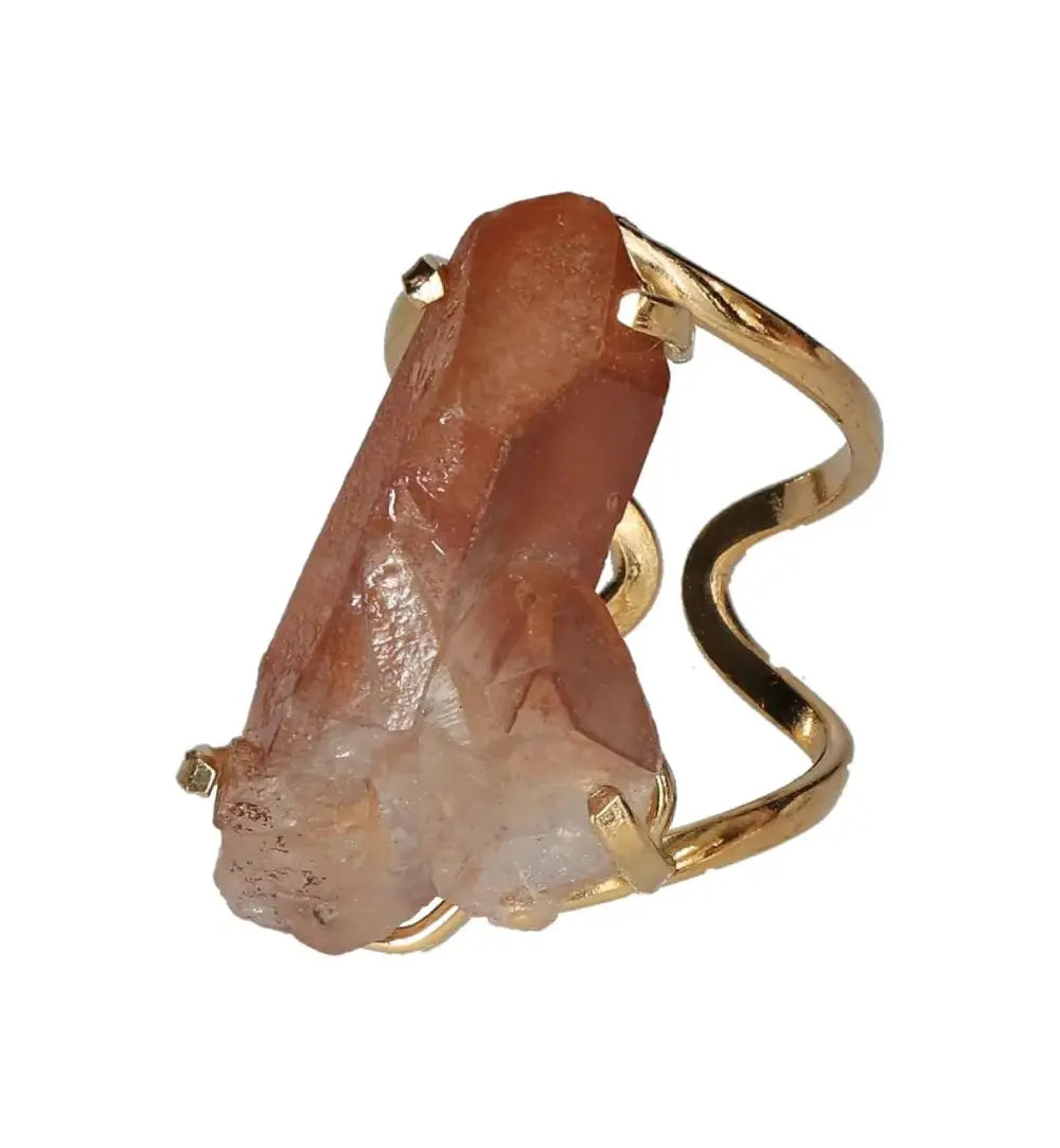 orbitvu|type:image2d