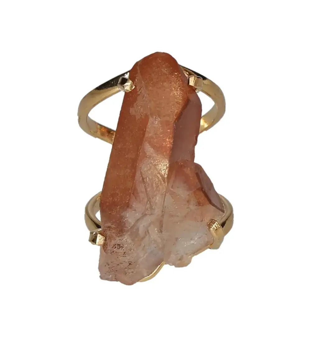 orbitvu|type:image2d