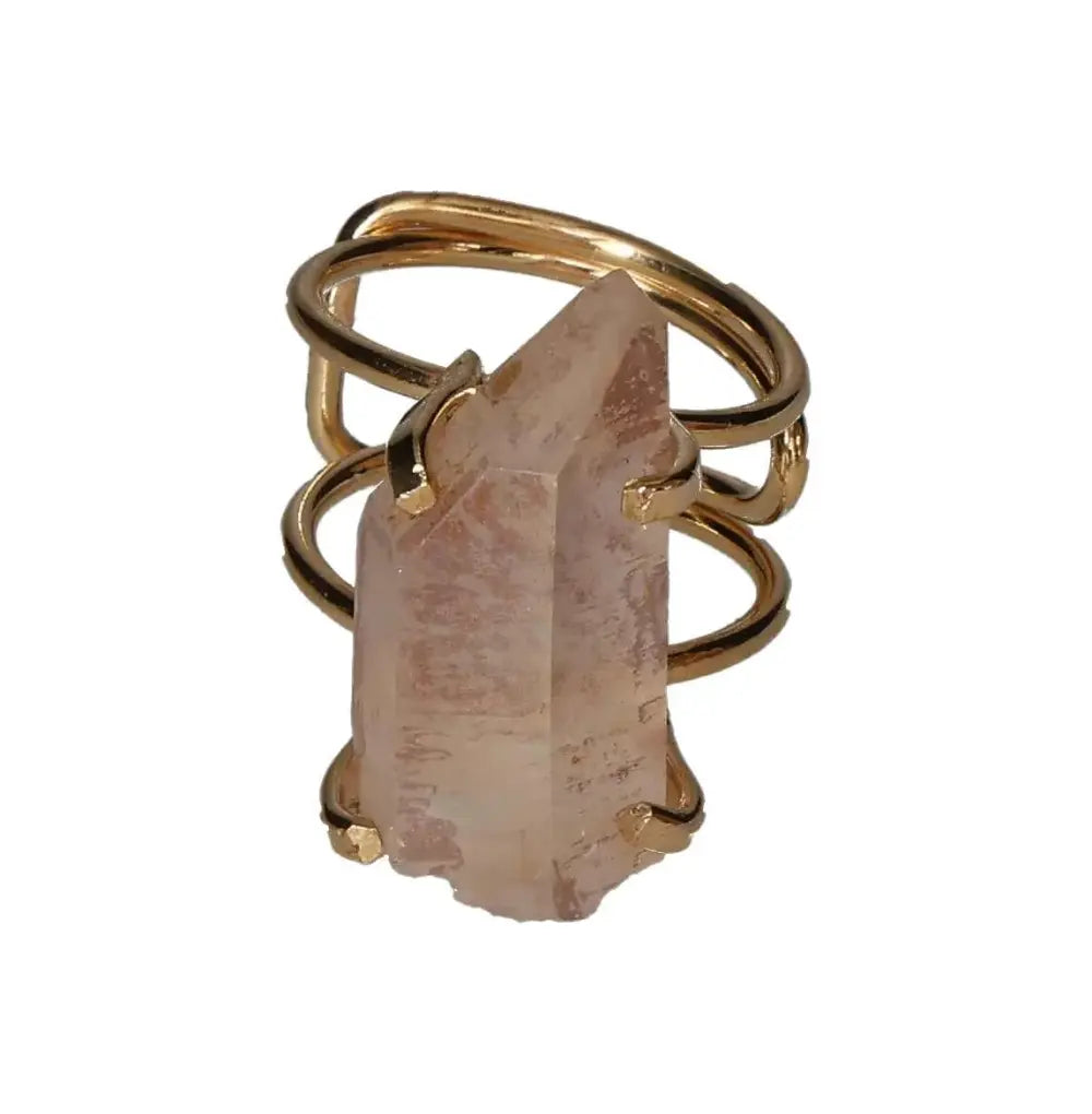 orbitvu|type:image2d