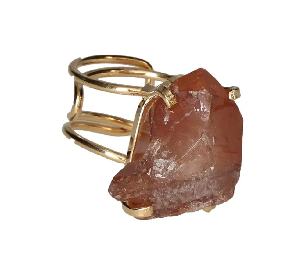 orbitvu|type:image2d