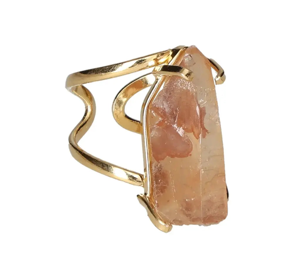 orbitvu|type:image2d