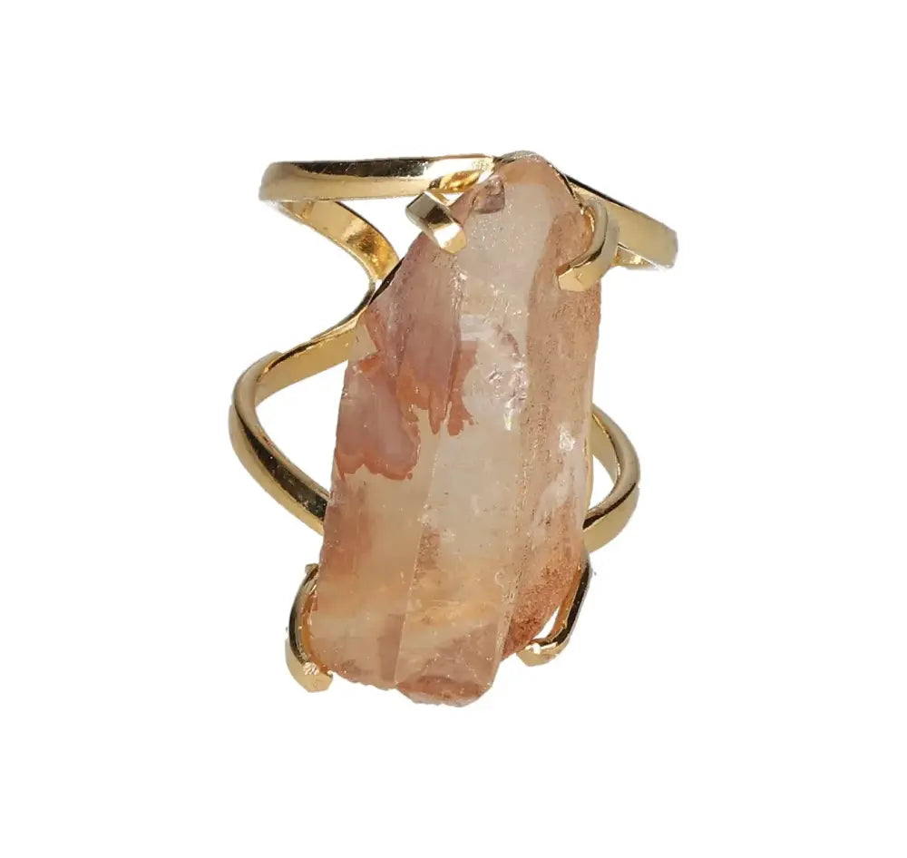 orbitvu|type:image2d